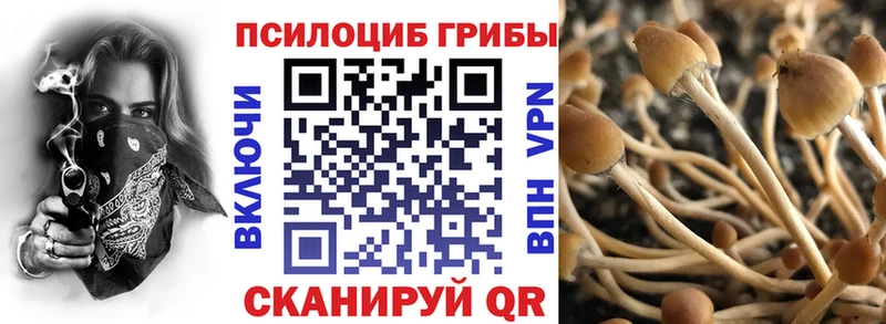 Галлюциногенные грибы Psilocybe Полярный